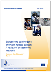 Exposure to carcinogens and work-related cancer: A review of assessment methods