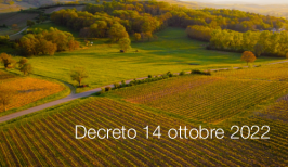Decreto 14 ottobre 2022 Decreto 14 ottobre 2022