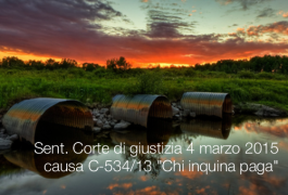 Sentenza Corte di giustizia (III Sez.) del 4 marzo 2015 - causa C‑534/13 Sentenza Corte di giustizia (III Sez.) del 4 marzo 2015 - causa C‑534/13