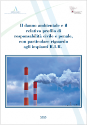 Danno ambientale e profilo di responsabilità civile e penale impianti R.I.R Danno ambientale e profilo di responsabilità civile e penale impianti R.I.R