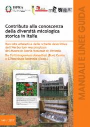 Contributo conoscenza diversità micologica storica in Italia