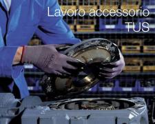 Lavoro accessorio e TUS