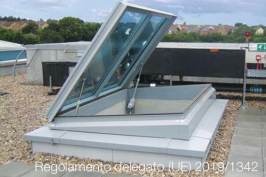 Regolamento delegato (UE) 2019/1342 Regolamento delegato (UE) 2019/1342