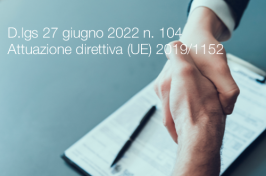 Decreto Legislativo 27 giugno 2022 n. 104