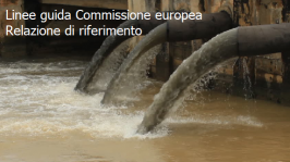 Linee guida della Commissione europea Relazione di riferimento