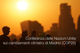 Conferenza delle Nazioni Unite sui cambiamenti climatici di Madrid (COP25) Conferenza delle Nazioni Unite sui cambiamenti climatici di Madrid (COP25)
