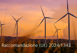 Raccomandazione (UE) 2024/1343