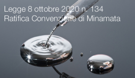 Legge 8 ottobre 2020 n. 134 Legge 8 ottobre 2020 n. 134