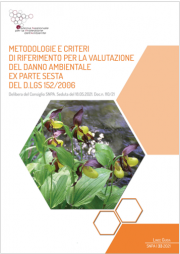 Metodologie e criteri di riferimento valutazione del danno ambientale Metodologie e criteri di riferimento valutazione del danno ambientale