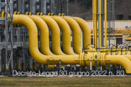 Decreto-Legge 30 giugno 2022 n. 80