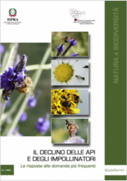 Il declino delle api e impollinatori. Riposte alle domande più frequenti Il declino delle api e impollinatori. Riposte alle domande più frequenti