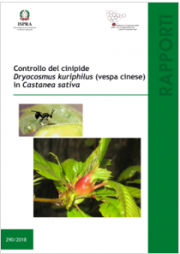 Controllo cinipide Dryocosmus kuriphilus (vespa cinese) Castanea sativa