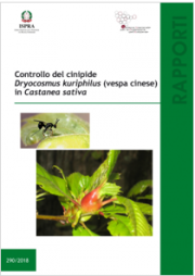 Controllo cinipide Dryocosmus kuriphilus (vespa cinese) Castanea sativa Controllo cinipide Dryocosmus kuriphilus (vespa cinese) Castanea sativa
