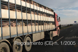 Regolamento (CE) n. 1/2005