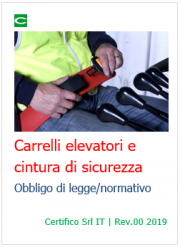 Carrelli elevatori e cintura di sicurezza: obbligo di legge/normativo 