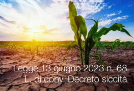 Legge 13 giugno 2023 n. 68