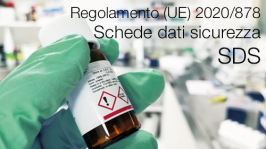 Regolamento (UE) 2020/878 Regolamento (UE) 2020/878