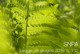 Legge 28 giugno 2016 n. 132