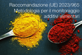 Raccomandazione (UE) 2023/965