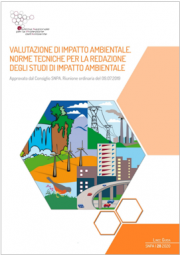 Norme tecniche per la redazione degli studi di impatto ambientale