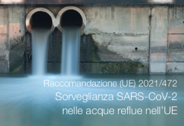 Raccomandazione (UE) 2021/472 