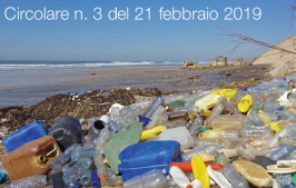 Circolare n. 3 del 21 febbraio 2019 Circolare n. 3 del 21 febbraio 2019
