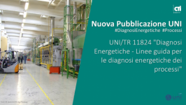 UNI/TR 11824:2021 - Linee guida per le diagnosi energetiche dei processi