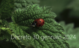 Decreto 30 gennaio 2024 