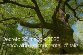 Decreto 27 maggio 2025 Decreto 27 maggio 2025