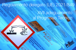 Regolamento delegato (UE) 2021/849