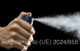 Regolamento (UE) 2024/858 