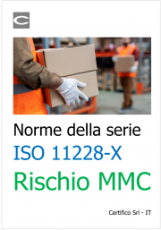 Norme della serie 11228-X Norme della serie 11228-X