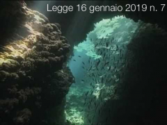 Legge 16 gennaio 2019 n. 7