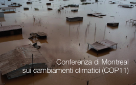 Conferenza di Montreal sui cambiamenti climatici (COP11)