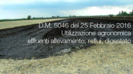 DM n. 5046 del 25 Febbraio 2016