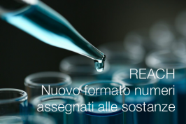 REACH-IT: Nuovo formato numeri assegnati alle sostanze REACH-IT: Nuovo formato numeri assegnati alle sostanze