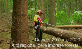 Decreto 29 aprile 2020 | Albi regionali delle imprese forestali