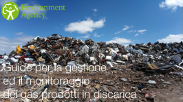 Guide gestione ed monitoraggio gas prodotti in discarica EA