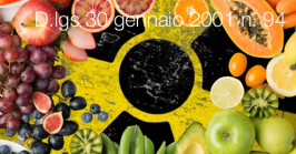Decreto Legislativo 30 gennaio 2001 n. 94 Decreto Legislativo 30 gennaio 2001 n. 94