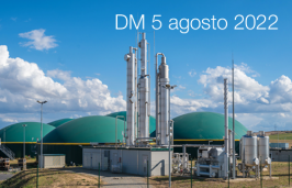 Decreto ministeriale 5 agosto 2022 Decreto ministeriale 5 agosto 2022