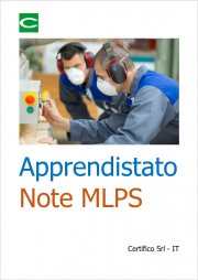 Apprendistato: Note MLPS