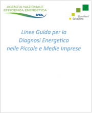 Linee Guida Diagnosi Energetica nelle PMI | ENEA 2020