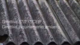 Direttiva 87/217/CEE Direttiva 87/217/CEE