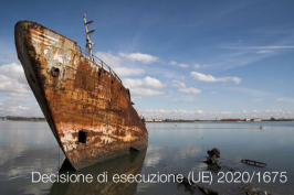 Decisione di esecuzione (UE) 2020/1675