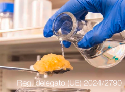 Regolamento delegato (UE) 2024/2790 Regolamento delegato (UE) 2024/2790