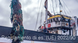 Regolamento di esecuzione (UE) 2022/90 Regolamento di esecuzione (UE) 2022/90