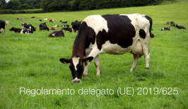 Regolamento delegato (UE) 2019/625 