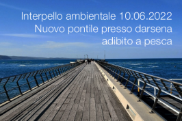 Interpello ambientale 10.06.2022 - Nuovo pontile presso darsena adibito a pesca