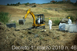 Decreto 1° marzo 2019 n. 46 