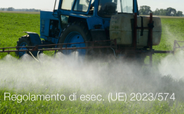 Regolamento di esecuzione (UE) 2023/574 Regolamento di esecuzione (UE) 2023/574